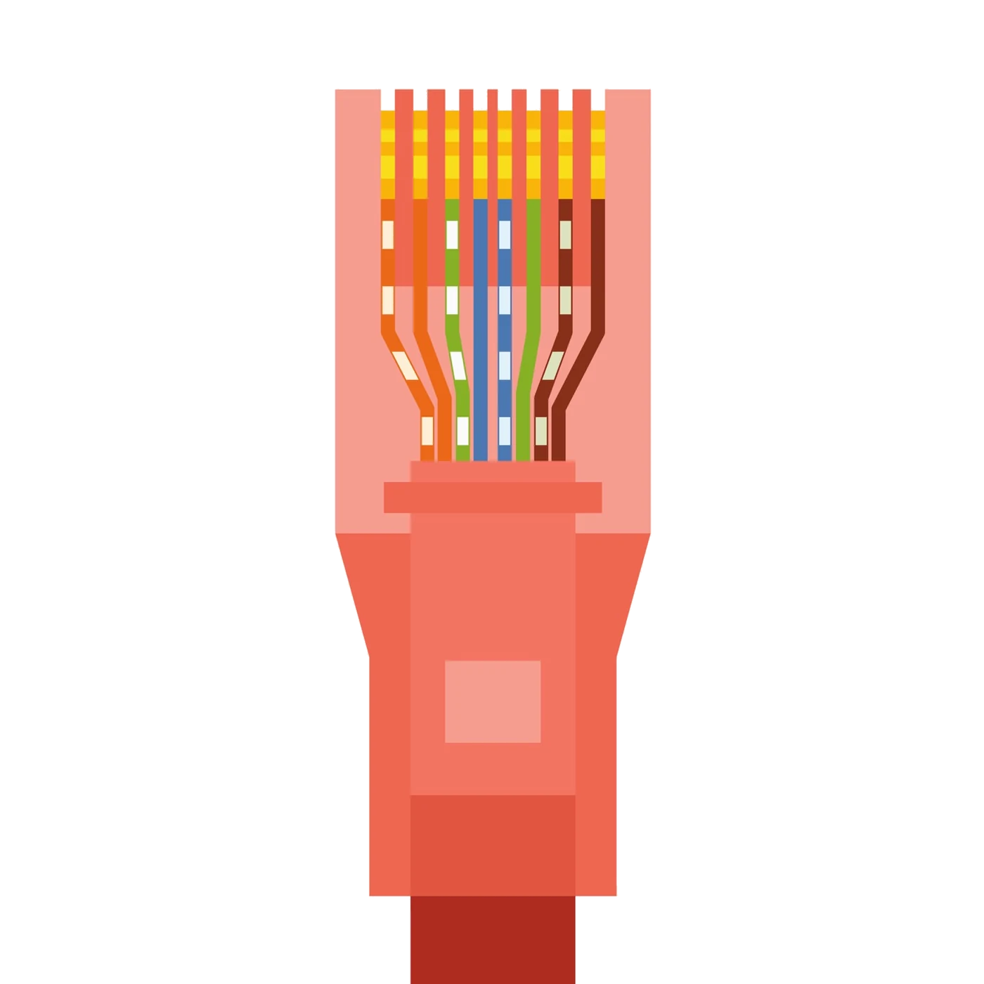 Connecteur réseau RJ45 et câblage structuré